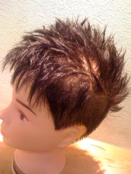 ヘアスタイルを作ってみよう タレント 武井壮 髪型 理容室フロール 茨城県つくば市筑穂 床屋 ヘアサロン メンズヘアスタイル